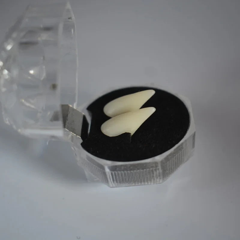 Resin Vampire Fangs