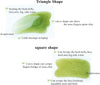 Natural Resin Gua Sha Tool Set