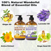 Ginger and Lavender Massage Oil Set