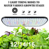 Indoor Hydroponics Herb Garden Kit