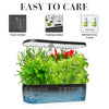 Indoor Hydroponics Herb Garden Kit