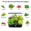 Indoor Hydroponics Herb Garden Kit